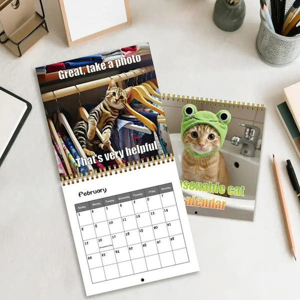 Funny Calendar Cat 12-Month Calendar 2026 Wall Monthly Planner