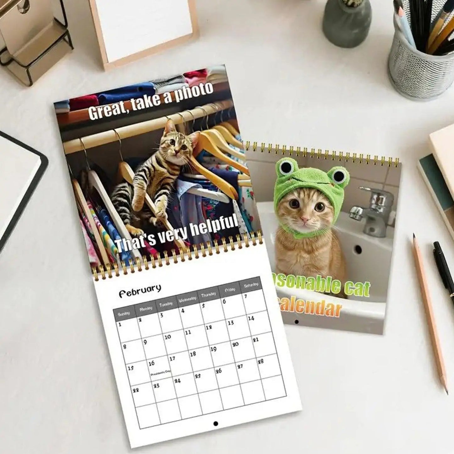 Funny Calendar Cat 12-Month Calendar 2026 Wall Monthly Planner